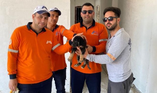 Asansör kuyusuna düşen yavru köpek, kurtarıldı