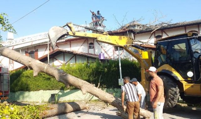Asırlık çınar ağacı villanın çatısına devrildi