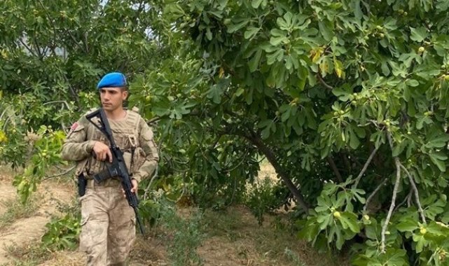Aydın'da jandarma incir nöbetine başladı