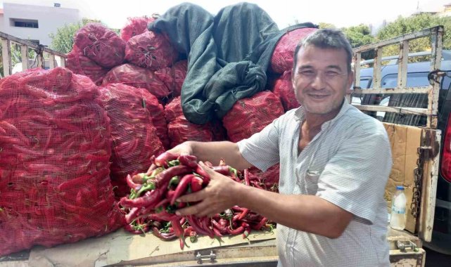 Aydın'ın kavurucu sıcağı ilin ekonomisini canlandırdı