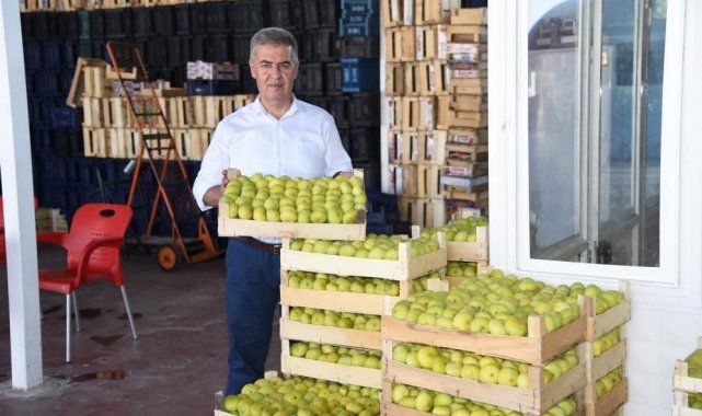Aydın'ın milli meyvesi İncir, Avrupa'nın gözde meyvesi oldu