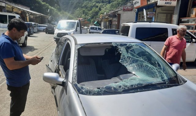Ayılar kışın yayla evlerine, yazın da arabalara zarar veriyor