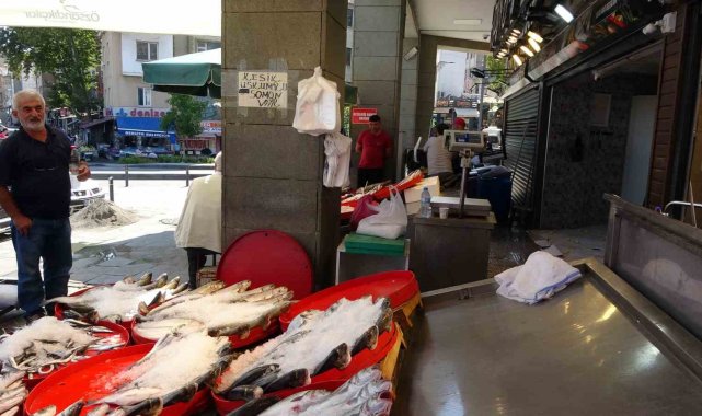 Balıkçı esnafının gözü çingene palamutundaydı ama...