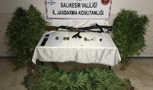 Bandırma'da jandarmadan uyuşturucu operasyonu; 4 gözaltı