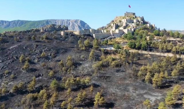 Başkan Çelik açıkladı: "Amasya Kalesi surları yangında zarar görmedi"
