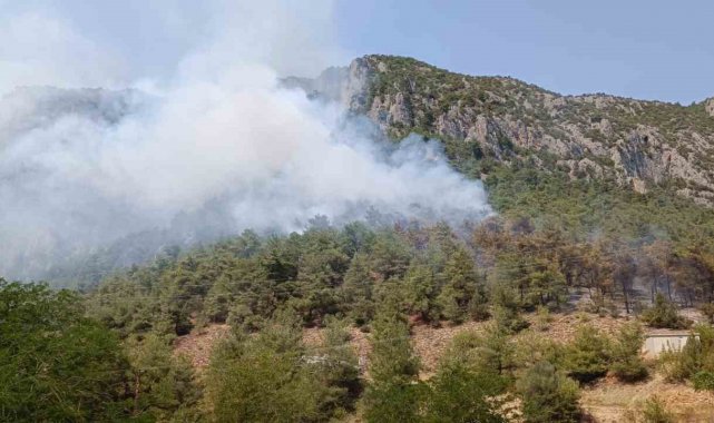 Bilecik'te çıkan orman yangını kontrol altına alınmaya çalışılıyor
