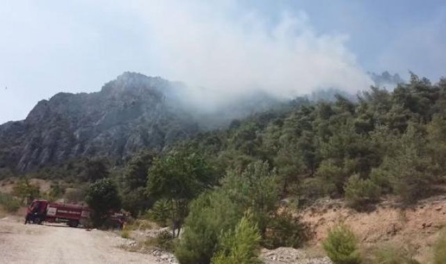 Bilecik'te orman yangını