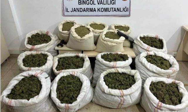 Bingöl'de 11 milyon 282 bin kök Hint keneviri ele geçirildi