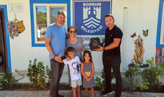 Bodrum'da bir firari maymun