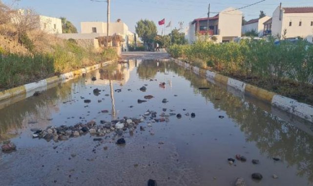 Bodrum'da isale hattı patladı, motosiklet sürücüsü ve köpeği yaralandı
