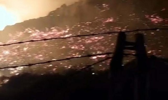 Bodrum'da maki yangınında 15 dönüm alan zarar gördü