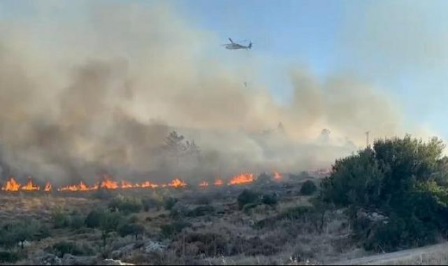 Bodrum'da makilik yangını