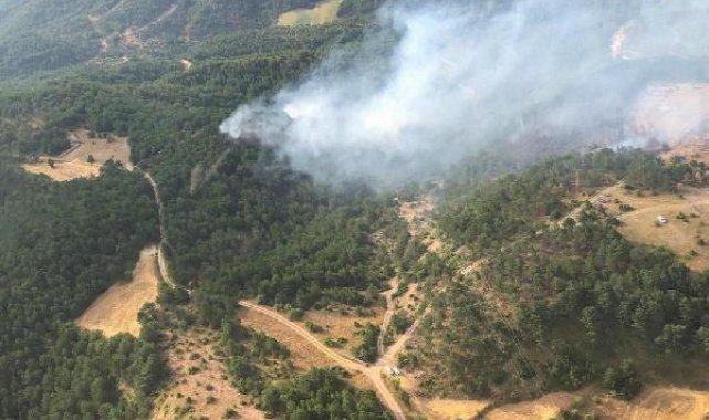Bolu'da orman yangını 2'nci gününde