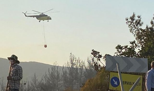 Bursa'nın Karacabey ilçesinde orman yangını