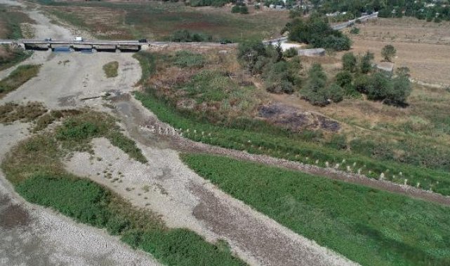 Büyükçekmece Baraj Gölü kurudu; Tarihi Çakmak Hattı'nı otlar sardı