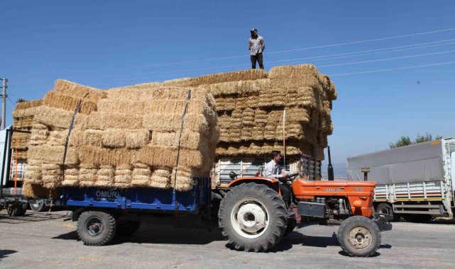 Çanakkale'de 142 çiftçinin etkilendiği orman yangınının yaraları sarılmaya başlandı