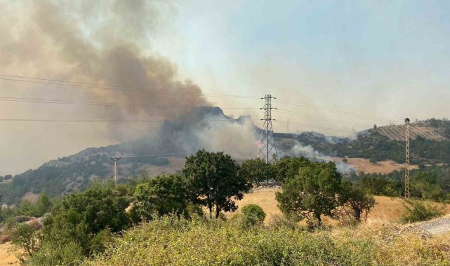Çanakkale'de büyük orman yangını...2 köy boşaltıldı