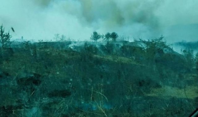 Çanakkale'de orman yakınında ot yangını