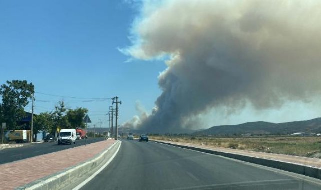 Çanakkale'de orman yangını