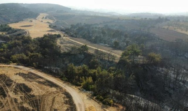 Çanakkale'deki orman yangınında 2'nci gün