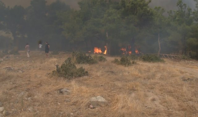 Çanakkale'deki orman yangınında can pazarı kameraya yansıdı