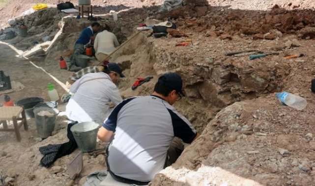 Çankırı'da, bu yıl 8,5 milyon yıllık 100 fosil bulundu