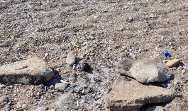 Caretta caretta yuvası üzerinde mangal yaktılar