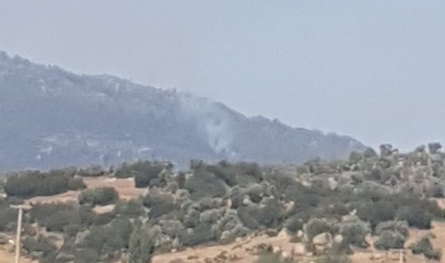 Çine'de orman yangını, müdahale sürüyor