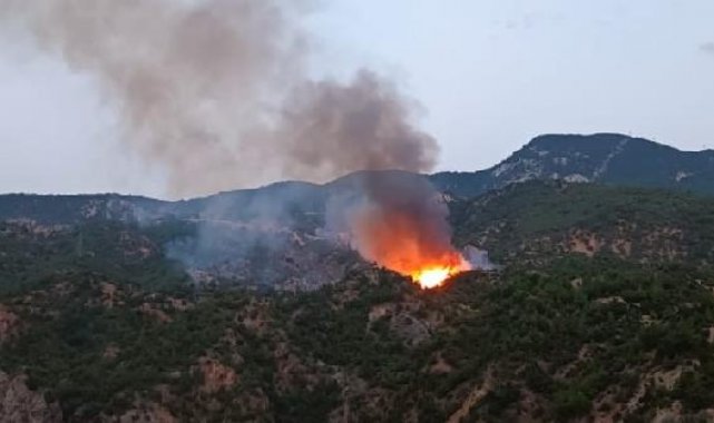 Çorum'da orman yangını