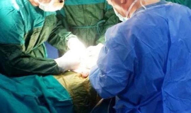 Danıştay 1. Dairesi, ADÜ'deki sahte raporlu organ nakil ameliyatları hakkında karar verdi