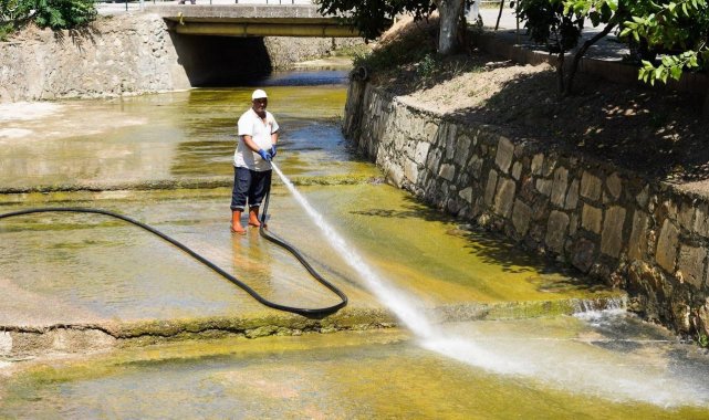 Dere temizlenince 40 yıl önce görülen balıklar yine görülmeye başlandı