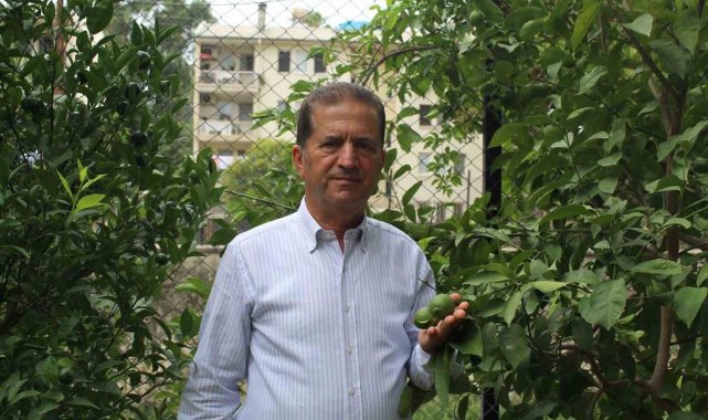 Doğan: "DFİF tüm narenciye ürünleri için verilmeli"