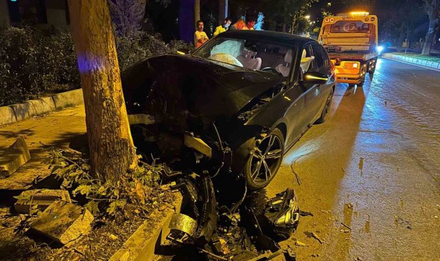 Elazığ'da otomobil ağaca çarptı: 1 yaralı