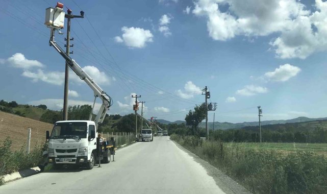 Elektrik direklerine konan leyleklerin akıma kapılmaması için seferber oldular
