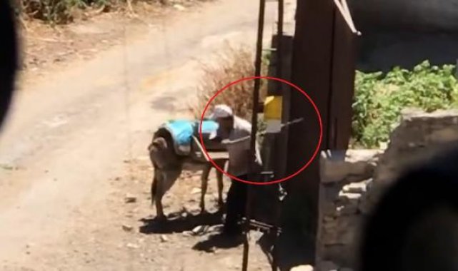 Eşeğe dayak savunması: Beni ısırdı