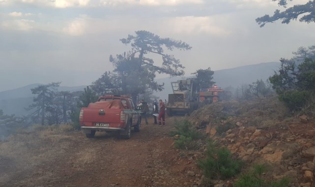 Eskişehir'de çıkan orman yangını kontrol altına alındı