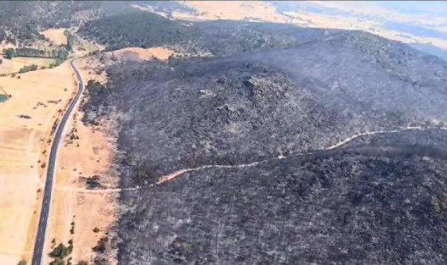 Eskişehir'deki orman yangını, 23 saatte kontrol altına alındı