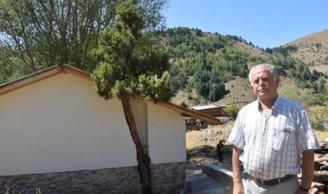 Evin duvarını ve çatısını, kesmeye kıyamadığı asırlık ağaca göre yaptı