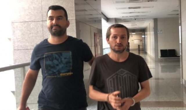 Eyüpsultan'da kedileri asitle yaralayan şüpheli tutuklandı