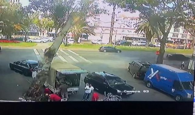 Fatih'te kamyonetin üzerine ağaç devrildi: O anlar kamerada