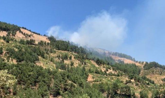 Gaziantep'te 4 hektar orman yandı