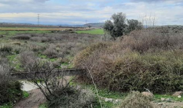 Gediz Havzasında 'Karasal Korunan Alan' oluşturulacak