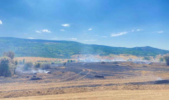 Gediz'de balya makinesinden çıkan kıvılcım 90 dönüm tarlayı yaktı