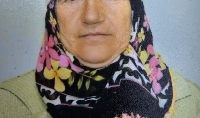 Geri manevra yapan kamyonetin çarptığı kadın öldü