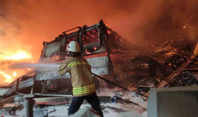 Hatay'da tır otoyol gişelerine çarpıp yandı: 2 yaralı