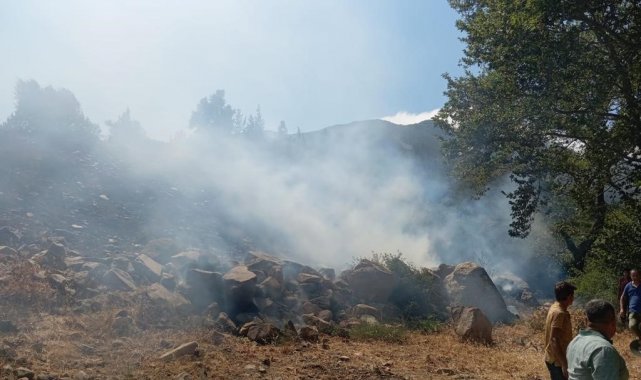 Hatay'daki orman yangını ekiplerin müdahalesiyle kontrol altına alındı