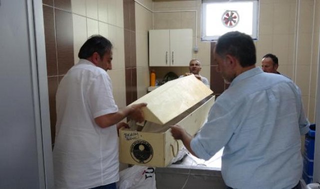 Havalimanında karışan cenazeler, 3 farklı şehre gönderildi