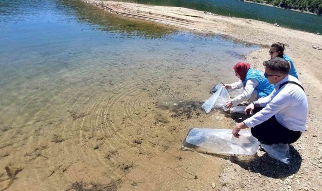 Hisarcık'ta baraj ve göletlere 60 bin yavru sazan balığı bırakıldı