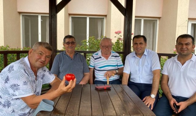 Huzurevine ekilen domateslerin ilk hasadı yapıldı