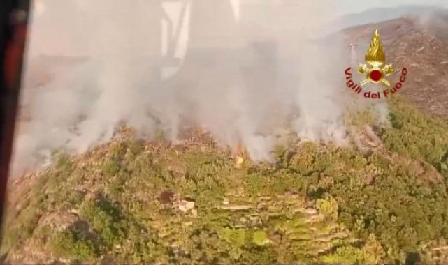 İtalya'da iki bölgede orman yangını